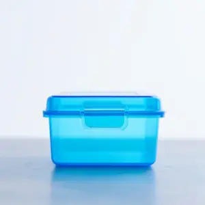 Plastic Storage Box (Small)